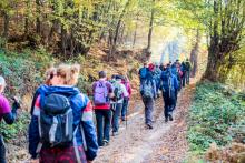 Hikes, October 14, 2023, 10/14/2023, Forest Ecology Hike