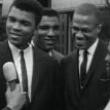 Movie in a Parks, August 18, 2021, 08/18/2021, Blood Brothers: Malcolm X and Muhammad Ali (2021) Documentary
