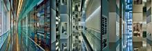 Gallery Talks, August 19, 2021, 08/19/2021, Supertall 2021!: Curator's Walkthrough