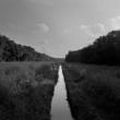 Gallery Talks, September 14, 2021, 09/14/2021, Artist Talk: Expanding Photography (livestream)
