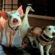 Movie in a Parks, August 28, 2021, 08/28/2021, Babe: Pig in the City (1998): Oinking Sequel with Mickey Rooney