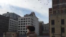 City Walks, September 29, 2021, 09/29/2021, Wall Street Soundwalk, Winner of the 2021 Tribeca Festival