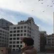 City Walks, September 30, 2021, 09/30/2021, Wall Street Soundwalk, Winner of the 2021 Tribeca Festival