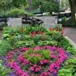 Concerts, October 02, 2021, 10/02/2021, Art and Music Celebration in a Park