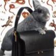 Discussions, October 18, 2021, 10/18/2021, Should We Ban Fashion Advertising? (online)