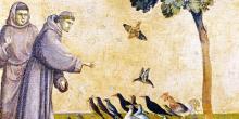 Concerts, October 09, 2022, 10/09/2022, Choral Music and Pet Blessing: Preaching to the Birds