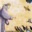 Concerts, October 10, 2021, 10/10/2021, Choral Music: Preaching to the Birds