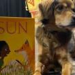 Performances, November 20, 2021, 11/20/2021, Musical Storytime! (in-person and online)