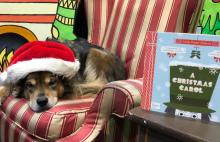 Performances, December 11, 2021, 12/11/2021, Musical Storytime! (in-person and online)