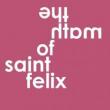 Poetry Readings, November 29, 2021, 11/29/2021, The Math of Saint Felix: The Sum of a Life in Poems (online)
