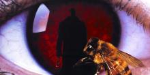 Movie in a Parks, October 29, 2021, 10/29/2021, Candyman (1992): Horror Classic