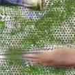 Opening Receptions, October 21, 2021, 10/21/2021, skin-screen-grass: The Vast Possibilities of Image Production&nbsp;