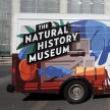 Discussions, November 17, 2021, 11/17/2021, Heritage of the Future, Not the Past: The Natural History Museum (online)