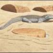 Opening Receptions, November 09, 2021, 11/09/2021, Neil Jenney: American Realism Today
