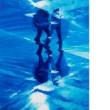 Opening Receptions, November 12, 2021, 11/12/2021, Mark Tansey: Recent Paintings and Graphite Drawings