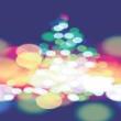 Festivals, December 02, 2021, 12/02/2021, Holidays Lights Celebration