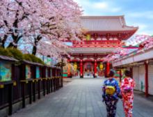 Tours, November 08, 2021, 11/08/2021, Tokyo:&nbsp;Historical Enchantment of Asakusa (livestream)