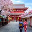 Tours, November 08, 2021, 11/08/2021, Tokyo:&nbsp;Historical Enchantment of Asakusa (livestream)