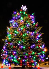 Fairs, December 19, 2021, 12/19/2021, Holiday Market: Gifts, Art, Jewelry, Antiques and More