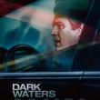 Films, November 13, 2021, 11/13/2021, Dark Waters (2019): Biographical Drama With Mark Ruffalo, Anne Hathaway And Tim Robbins