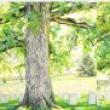 Opening Receptions, November 18, 2021, 11/18/2021, As I Lay Dying: Responding to History Painting
