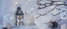 Partys, December 10, 2021, 12/10/2021, German Winter Wonderland Holiday Party