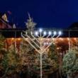 Festivals, November 28, 2021, 11/28/2021, Chanukah Celebration