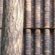 Lectures, November 15, 2021, 11/15/2021, Crafting Place: An Architectural Lecture (online)