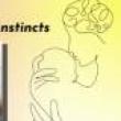 Discussions, November 22, 2021, 11/22/2021, Beyond &ldquo;Mommy Brain&rdquo;: The Neuroscience of Maternal Instincts (online)