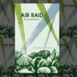 Poetry Readings, December 09, 2021, 12/09/2021, Air Raid: Describing What Cannot Be Told (online)