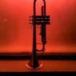 Concerts, November 30, 2021, 11/30/2021, Solo Trumpet&nbsp;Recital