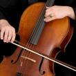 Concerts, November 22, 2021, 11/22/2021, Cello Works By J.S.Bach, Schubert and Von Paradis (in-person and online)