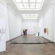 Gallery Talks, December 06, 2021, 12/06/2021, Exploring the Artwork of Rosemary Mayer