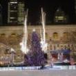 Festivals, December 06, 2021, 12/06/2021, Tree Lighting in the Park