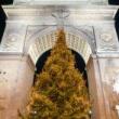 Festivals, December 08, 2021, 12/08/2021, Christmas Tree Lighting