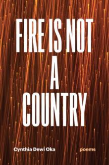 Poetry Readings, January 11, 2022, 01/11/2022, Fire Is Not a Country: A Multivocal Portrait of a Family (online)