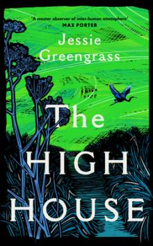 Author Readings, January 24, 2022, 01/24/2022, The High House: A Novel of Environmental Disaster (online)