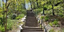 Workshops, March 22, 2022, 03/22/2022, Forest Fitness