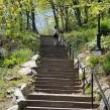 Workshops, December 24, 2021, 12/24/2021, Forest Fitness