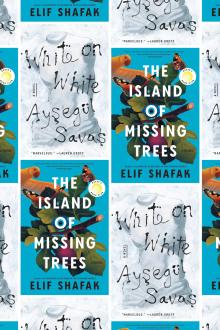 Book Discussions, February 17, 2022, 02/17/2022, 2 Novelists on Love and Disaster (online)