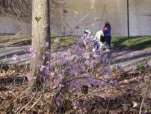 Birdwatchings, March 05, 2022, 03/05/2022, Birding: Winter Birds