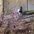 Birdwatchings, March 05, 2022, 03/05/2022, Birding: Winter Birds