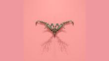Talks, February 14, 2022, 02/14/2022, Network Metaphysics: Houseplant Culture and An Ethics of Love (online)
