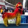 Dance Performances, February 06, 2022, 02/06/2022, Lion Dance for the Lunar New Year