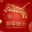 Parades, February 20, 2022, 02/20/2022, The 24th Annual Chinatown Lunar New Year Parade & Festival