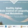 Discussions, February 16, 2022, 02/16/2022, Healthy Aging: Brain Control of Longevity and Metabolism (online)