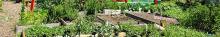 Conferences, February 25, 2022, 02/25/2022, 38th Annual GreenThumb GrowTogether Conference (online)