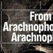 Discussions, March 16, 2022, 03/16/2022, Matter(s) for Conversation and Action: From Arachnophobia to Arachnophilia (online)
