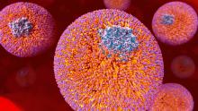 Discussions, March 30, 2022, 03/30/2022, Demystifying Drug Discoveries, with Nobel Laureate Michael Brown (online)