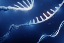 Lectures, February 23, 2022, 02/23/2022, Epigenetics: The Immortal Kiss of Our Grandparents (online)